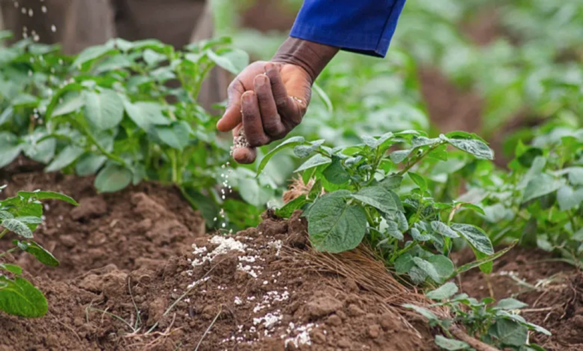 Fertilizantes: pre&ccedil;os globais devem subir 21% at&eacute; 2025