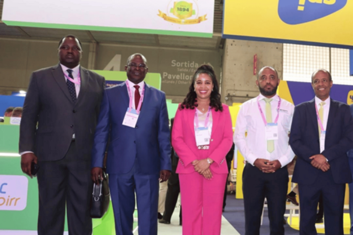 Desenvolvimento digital: Chade volta-se para a operadora hist&oacute;rica Eti&oacute;pia.