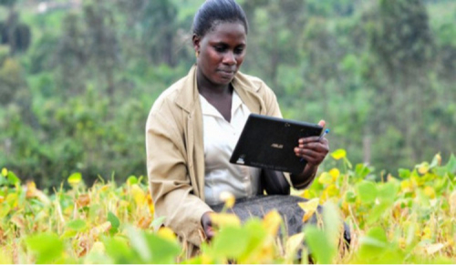 Gana: Canad&aacute; disponibiliza 13 milh&otilde;es de d&oacute;lares para apoiar a resili&ecirc;ncia agr&iacute;cola