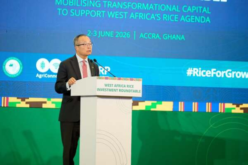 &laquo; O verdadeiro desafio no arroz na &Aacute;frica Ocidental n&atilde;o &eacute; a aus&ecirc;ncia de solu&ccedil;&otilde;es, mas sim a coordena&ccedil;&atilde;o &raquo; (Guangzhe Chen, Grupo do Banco Mundial)