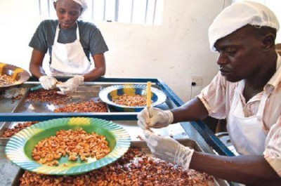 Nig&eacute;ria: a Robust International quer dobrar a sua capacidade de transforma&ccedil;&atilde;o de caju