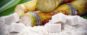 O açúcar bruto atinge o seu nível mais alto em 5 meses