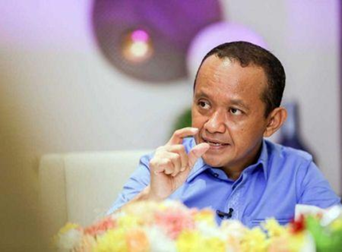 N&iacute;quel: Indon&eacute;sia anuncia redu&ccedil;&atilde;o da oferta e pre&ccedil;os disparam