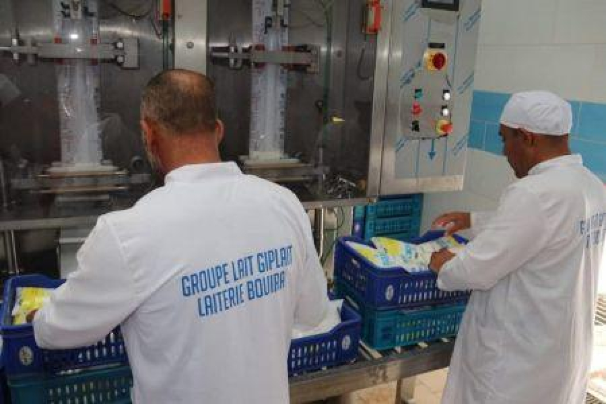 Arg&eacute;lia: a maior unidade de produ&ccedil;&atilde;o de leite do pa&iacute;s entra em funcionamento