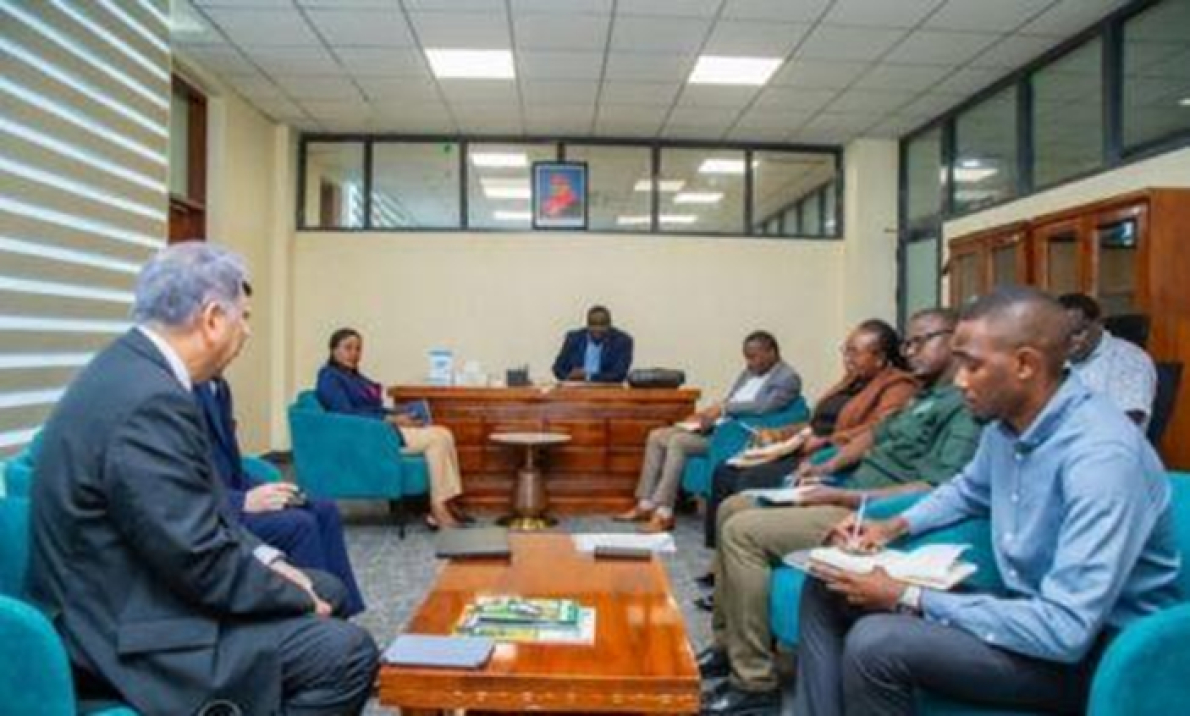 Tanz&acirc;nia: o grupo japon&ecirc;s Toyo prepara a instala&ccedil;&atilde;o de uma f&aacute;brica de fertilizantes