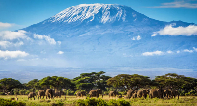 kenya-strengthens-lead-over-tanzania-as-east-africa-s-top-tourist-destination-in-2025