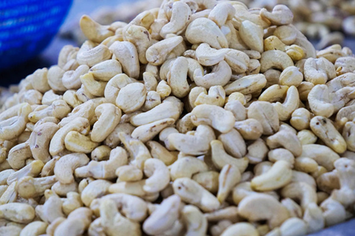 Costa do Marfim mais do que quintuplica suas exporta&ccedil;&otilde;es de castanha de caju desde 2020, chegando a 72 toneladas