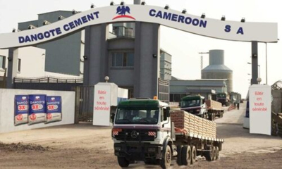 Camar&otilde;es: queda de 9,3% nas vendas de cimento da Dangote em 2025