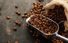 ONU estabelece o dia 1&ordm; de outubro como o Dia Internacional do Caf&eacute;