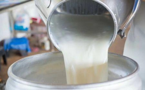 O Ruanda prev&ecirc; a cria&ccedil;&atilde;o de um &oacute;rg&atilde;o regulador para a ind&uacute;stria leiteira