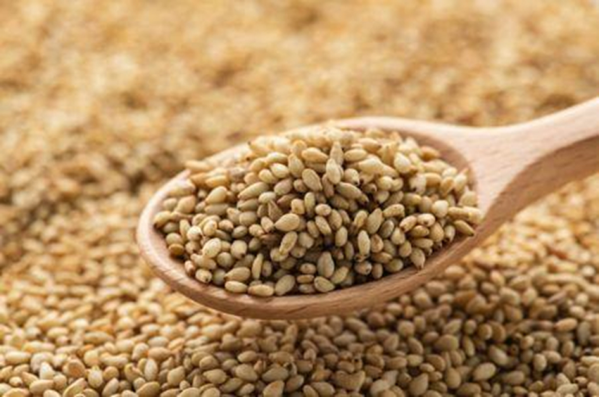 &laquo; A facilita&ccedil;&atilde;o do com&eacute;rcio transfronteiri&ccedil;o de sementes assenta na harmoniza&ccedil;&atilde;o das leis&raquo; (Francis Mwatuni, AGRA)