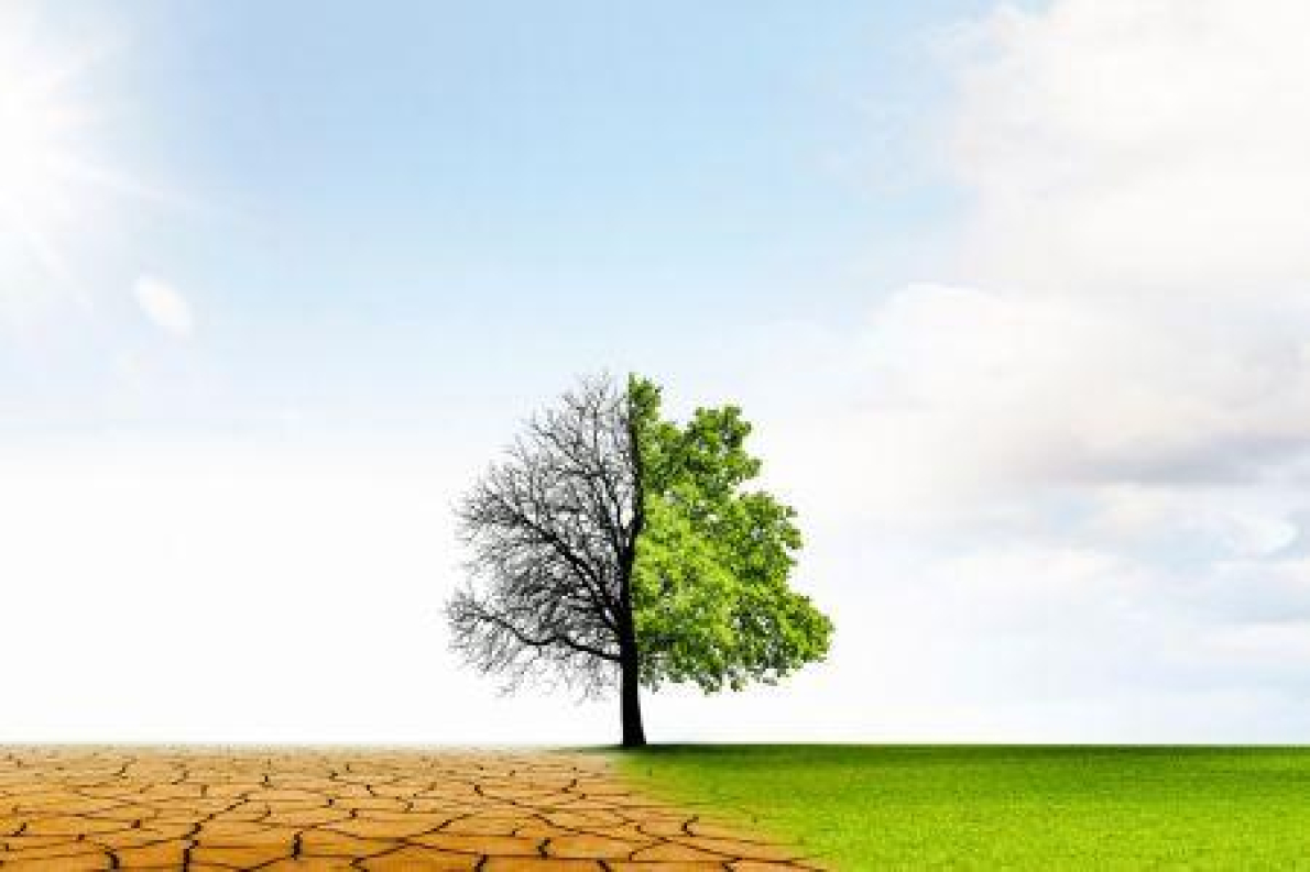 &Iacute;ndice de Desempenho da Mudan&ccedil;a Clim&aacute;tica 2026: Marrocos ocupa o 6&ordm; lugar mundial na performance clim&aacute;tica