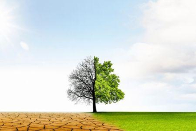 indice-de-desempenho-da-mudanca-climatica-2026-marrocos-ocupa-o-6-lugar-mundial-na-performance-climatica