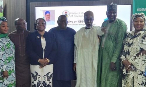 Minist&eacute;rio do Ambiente da Nig&eacute;ria lan&ccedil;a seu programa de digitaliza&ccedil;&atilde;o