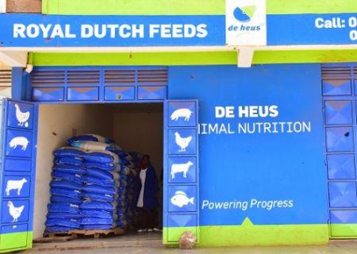 O fabricante neerland&ecirc;s de alimentos para animais De Heus acelera a sua expans&atilde;o em &Aacute;frica