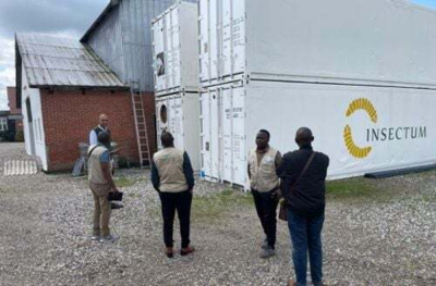 fabricante-dinamarques-de-alimentos-para-animais-insectum-aps-instala-se-no-gana