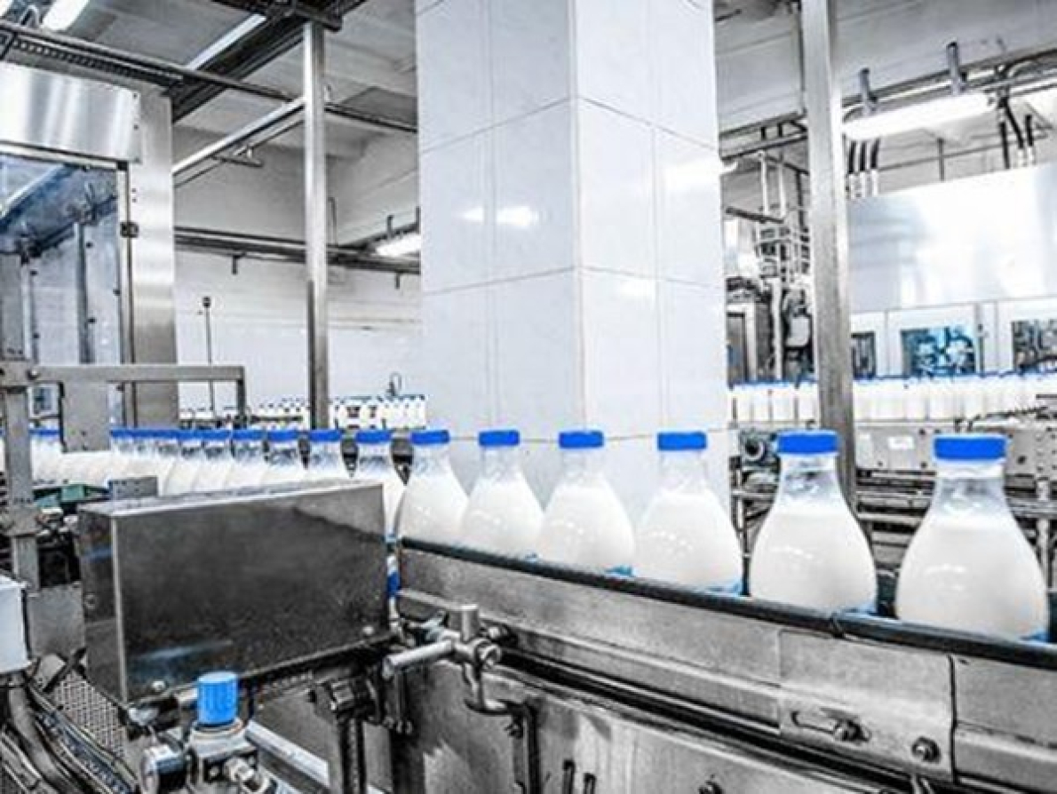 Produtos l&aacute;cteos: o Uganda inicia um posicionamento no mercado da &Aacute;frica Ocidental