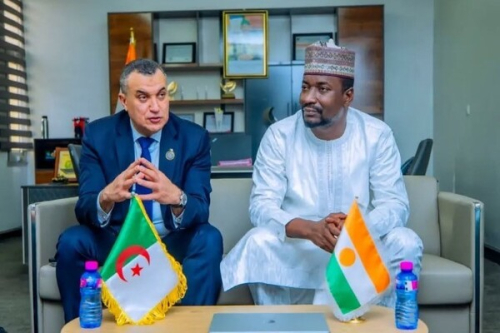 Desenvolvimento de compet&ecirc;ncias digitais: o N&iacute;ger volta-se para a Arg&eacute;lia