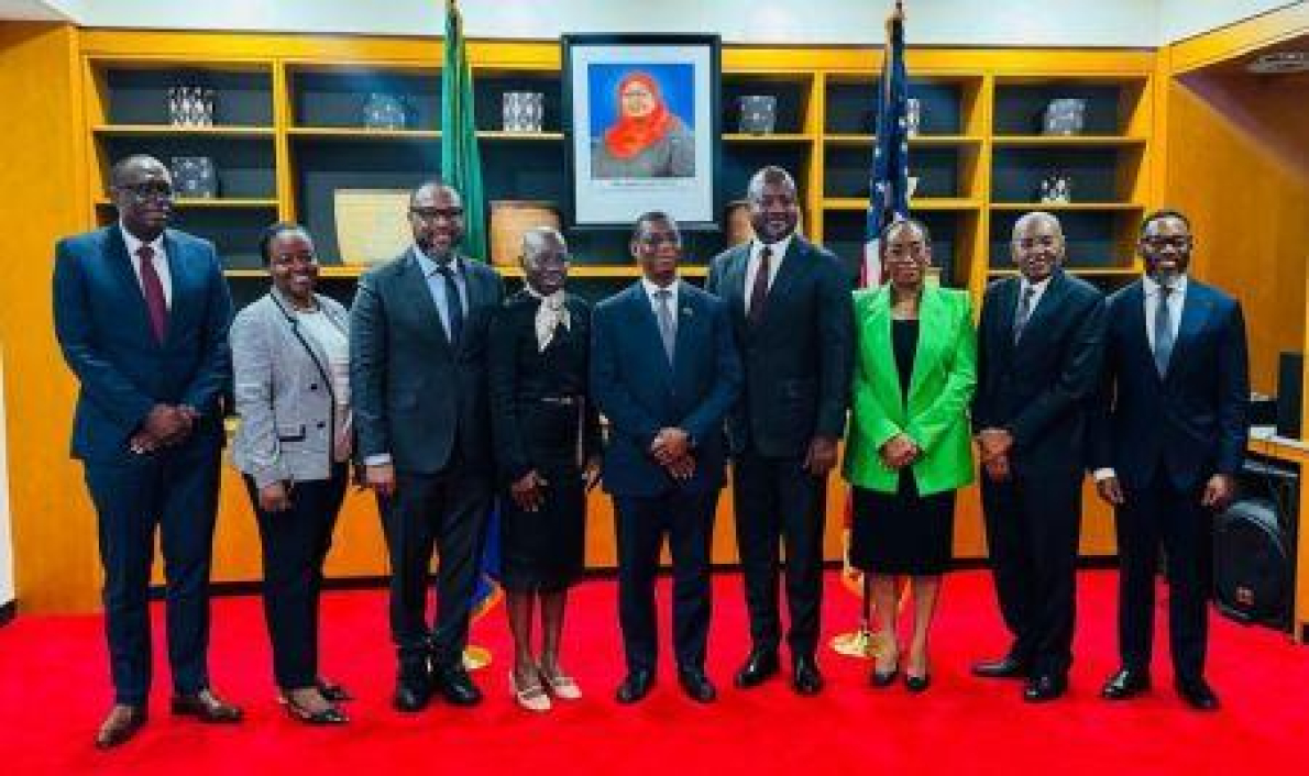 O Banco da Tanz&acirc;nia torna-se acionista da Africa Finance Corporation