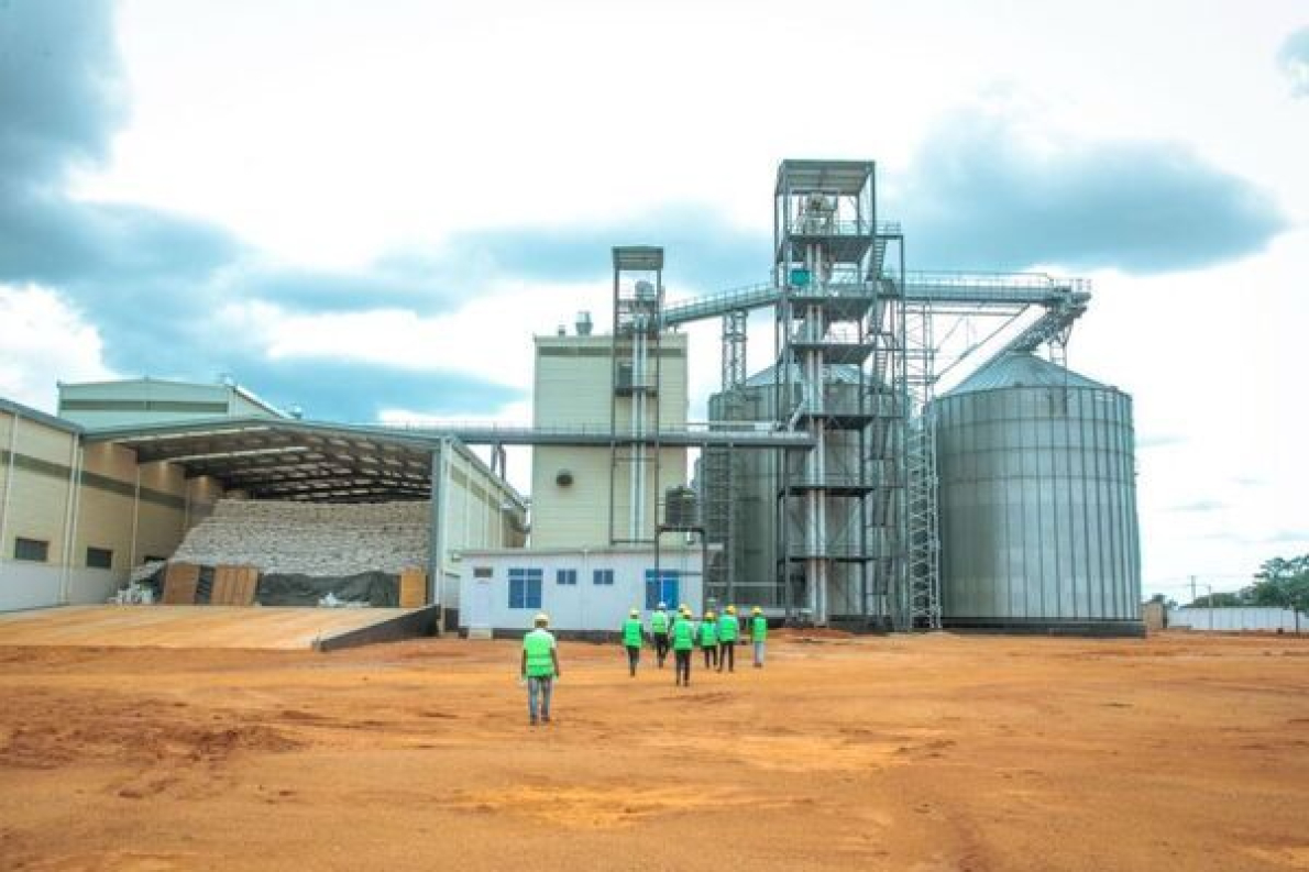 Tanz&acirc;nia: a fileira do arroz refor&ccedil;a-se com o lan&ccedil;amento de uma rizeria de 40 milh&otilde;es de d&oacute;lares