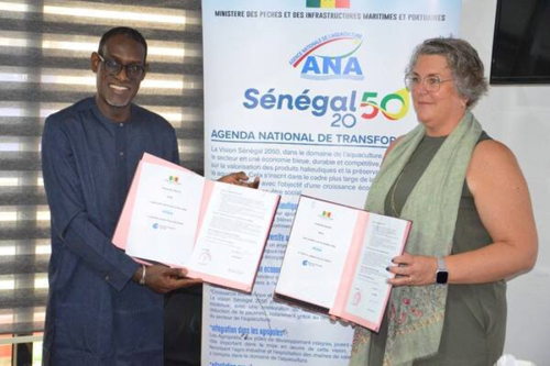 Senegal: Parceria lançada para desenvolver habilidades em aquicultura