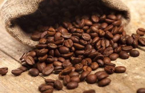 Kenya: a fileira do caf&eacute; prev&ecirc; um aumento de 12% nas suas exporta&ccedil;&otilde;es em 2026/2027.