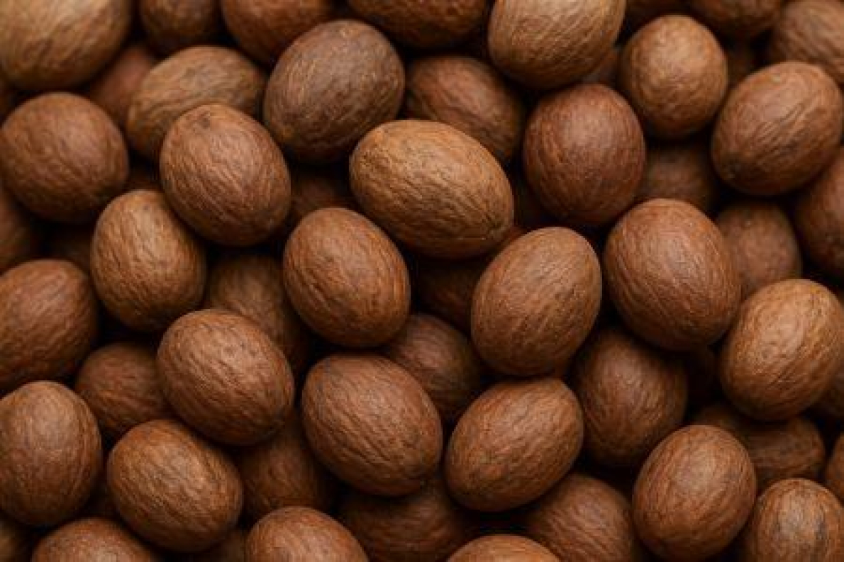 Gana: a sueca AAK quer consolidar a sua presen&ccedil;a na cadeia de valor do karit&eacute;