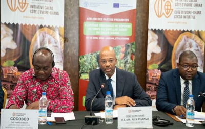 o-swollen-shoot-cacau-a-costa-do-marfim-e-o-gana-unem-se-para-combater