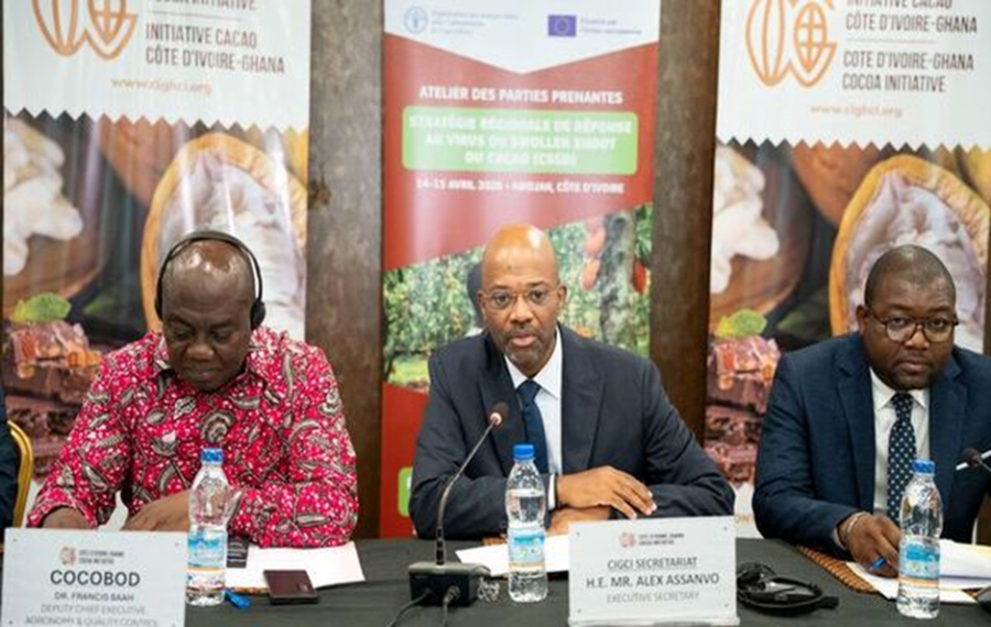 o-swollen-shoot-cacau-a-costa-do-marfim-e-o-gana-unem-se-para-combater