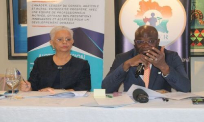 costa-do-marfim-um-plano-quinquenal-de-300-milhoes-de-dolares-para-a-agricultura