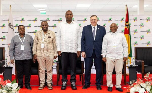Mozambique LNG: projeto &ldquo;too big to fail&rdquo; retoma oficialmente