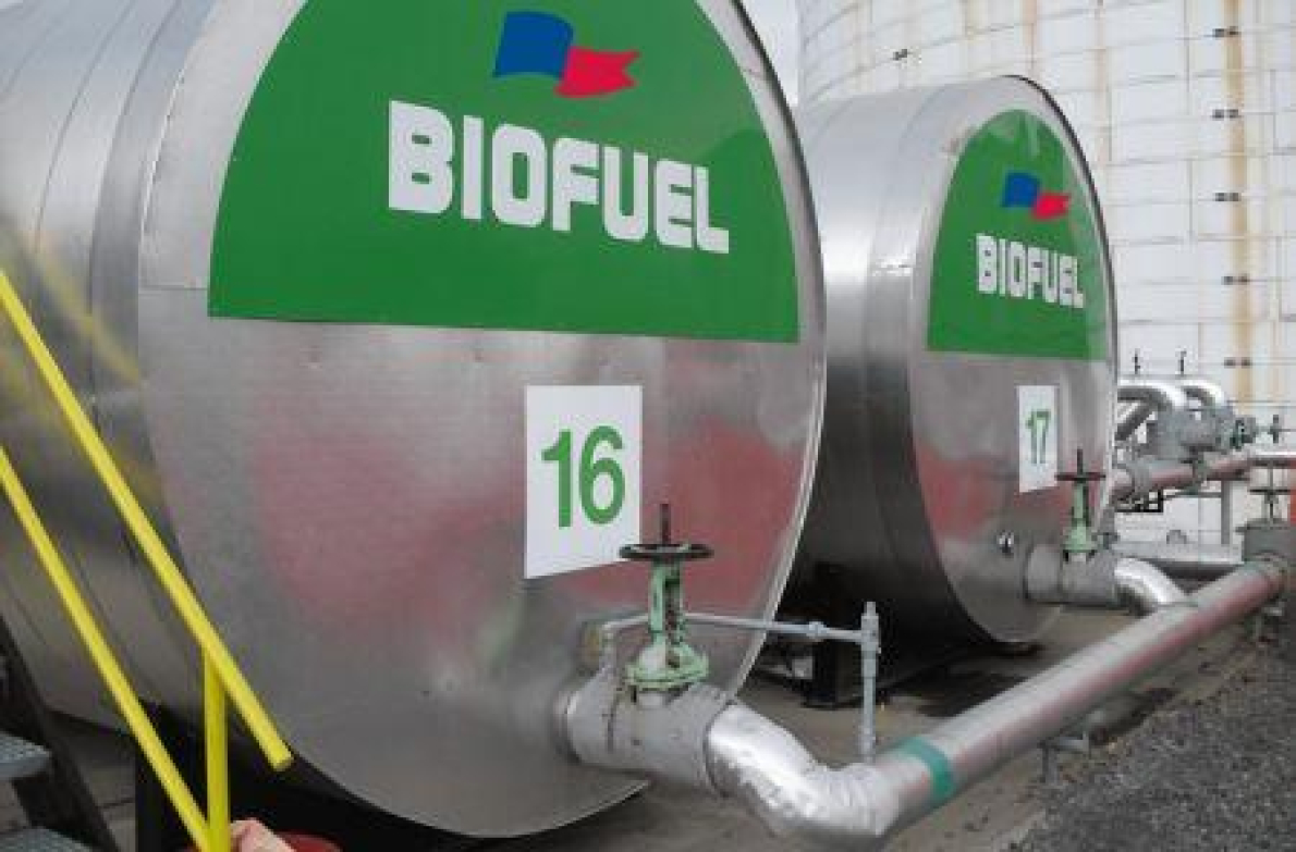 Eti&oacute;pia intensifica sua estrat&eacute;gia em favor de biocombust&iacute;veis na &aacute;rea de transportes