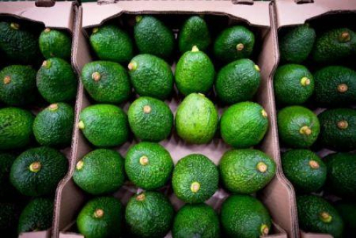 O Ruanda procura novos mercados para as suas exporta&ccedil;&otilde;es hort&iacute;colas