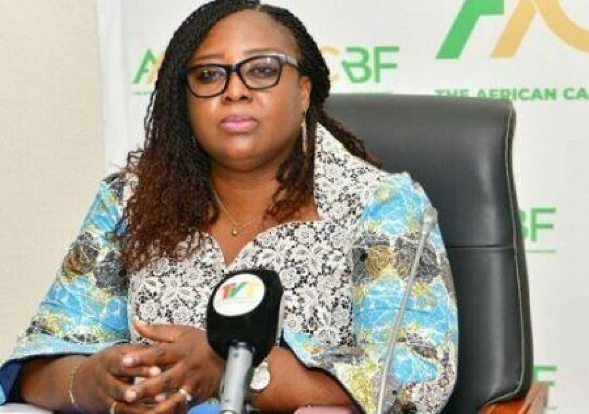 Fiscalidade clim&aacute;tica: especialistas de oito pa&iacute;ses africanos re&uacute;nem-se em Lom&eacute;