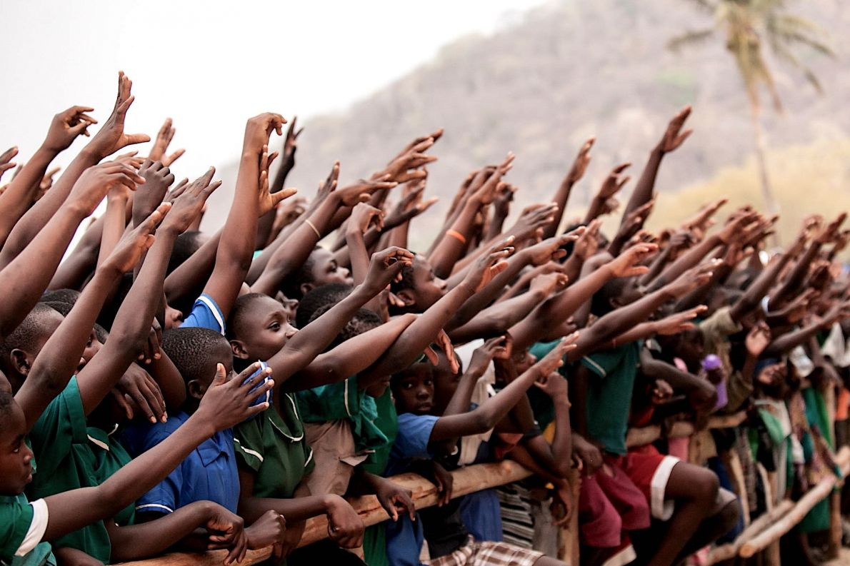 🌱 Costa do Marfim: setor da mandioca aposta na pesquisa para aumentar produtividade